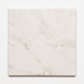 Sample of Matrix White Marble Look Matte Porcelain Tile P3