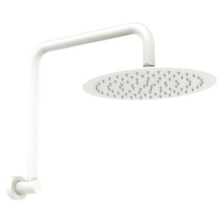 Fienza Kaya Gooseneck Shower Arm Set Matte White