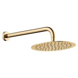 Fienza Kaya Shower Arm Set Urban Brass
