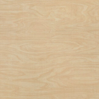 Raw Birchply Natural Sample