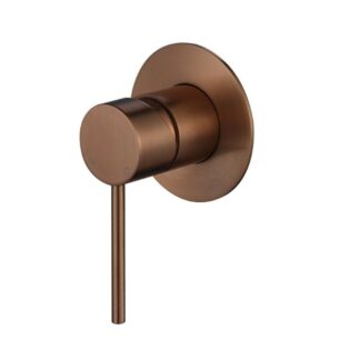 Modern National Star Mini Shower Mixer 80mm Champagne - Full Kit
